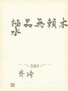 极品无赖木石山水