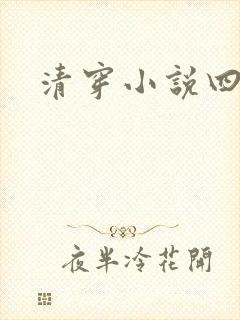 清穿小说四四