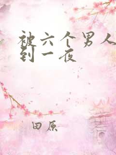 被六个男人躁J到一夜