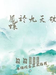 凤于九天破茧成蝶
