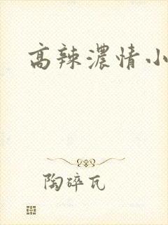高辣浓情小说