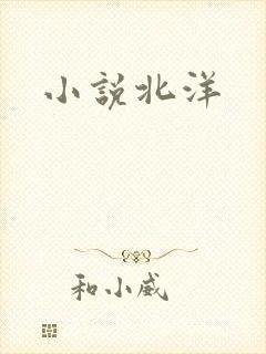 小说北洋