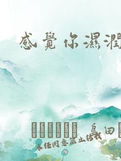 感觉你湿润我