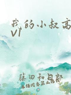我的小叔高H1V1