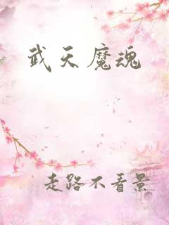 武天魔魂