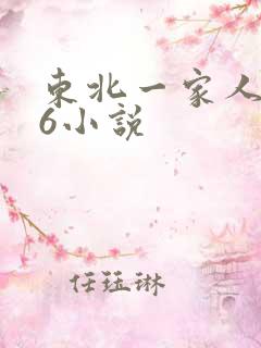 东北一家人1一6小说