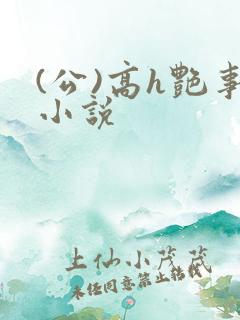 (公)高h艳事小说