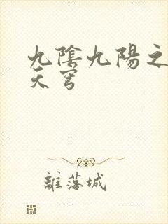 九阴九阳之武战天穹