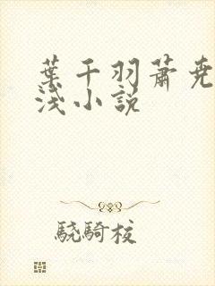 叶千羽萧尧白清浅小说