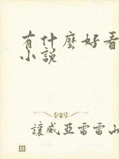 有什么好看的h小说