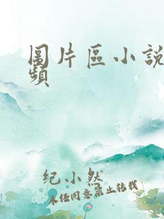 图片区小说区视频