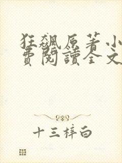 狂飙原著小说免费阅读全文