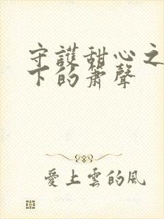 守护甜心之月光下的箫声