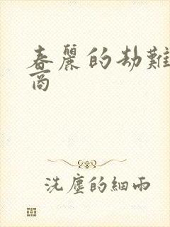 春丽的劫难军火商