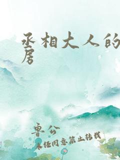 丞相大人的小通房