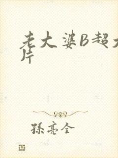 老大婆B超大图片