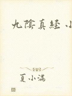 九阴真经 小说