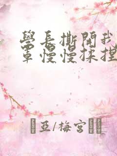 学长撕开我的乳罩慢慢揉捏小说