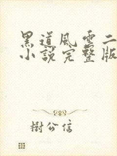 黑道风云二十年小说完整版