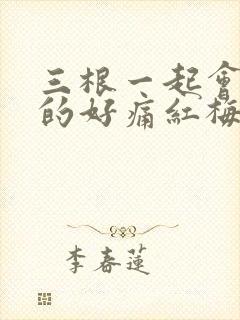 三根一起会坏掉的好痛红梅