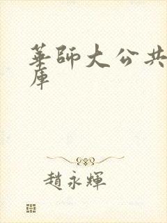 华师大公共数据库