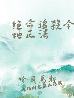 绝命追杀令2就地正法