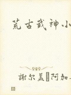 荒古武神小说