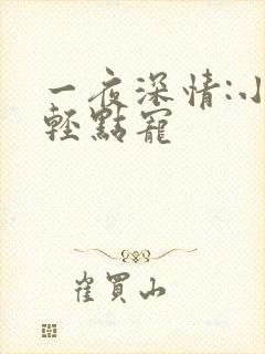 一夜深情:小叔轻点宠
