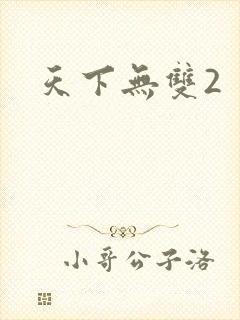 天下无双2