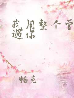 我用整个曾经爱过你