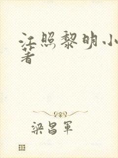 江照黎明小说原著