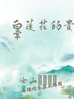 白莲花的贵妇日常