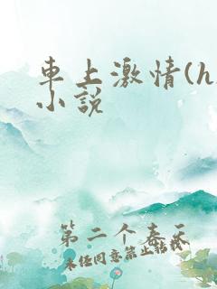 车上激情(h)小说