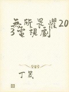 无所畏惧2023电视剧