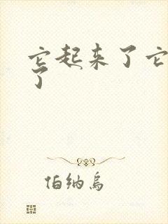 它起来了它想你了