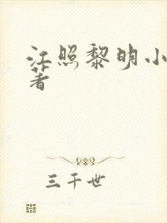 江照黎明小说原著