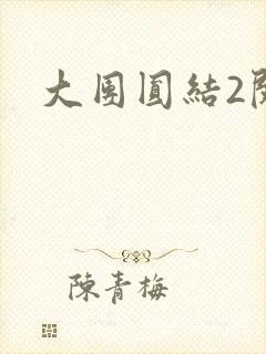 大团圆结2阅读