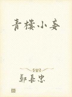 青楼小妾
