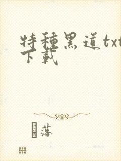 特种黑道txt下载