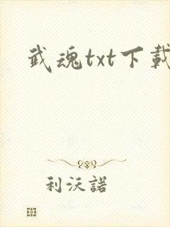 武魂txt下载