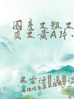 国产又粗又猛又爽又黄A片小说