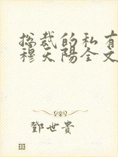 总裁的私有宝贝穆天阳全文阅读