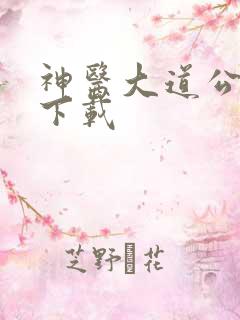 神医大道公全集下载