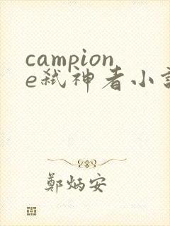 campione弑神者小说