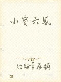 小宝六凤