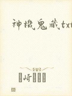 神机鬼藏txt