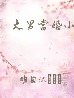 大男当婚小说