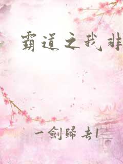 霸道之我非英雄