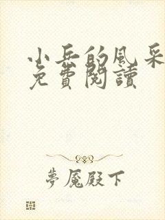 小兵的风采小说免费阅读