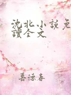 沈北小说免费阅读全文